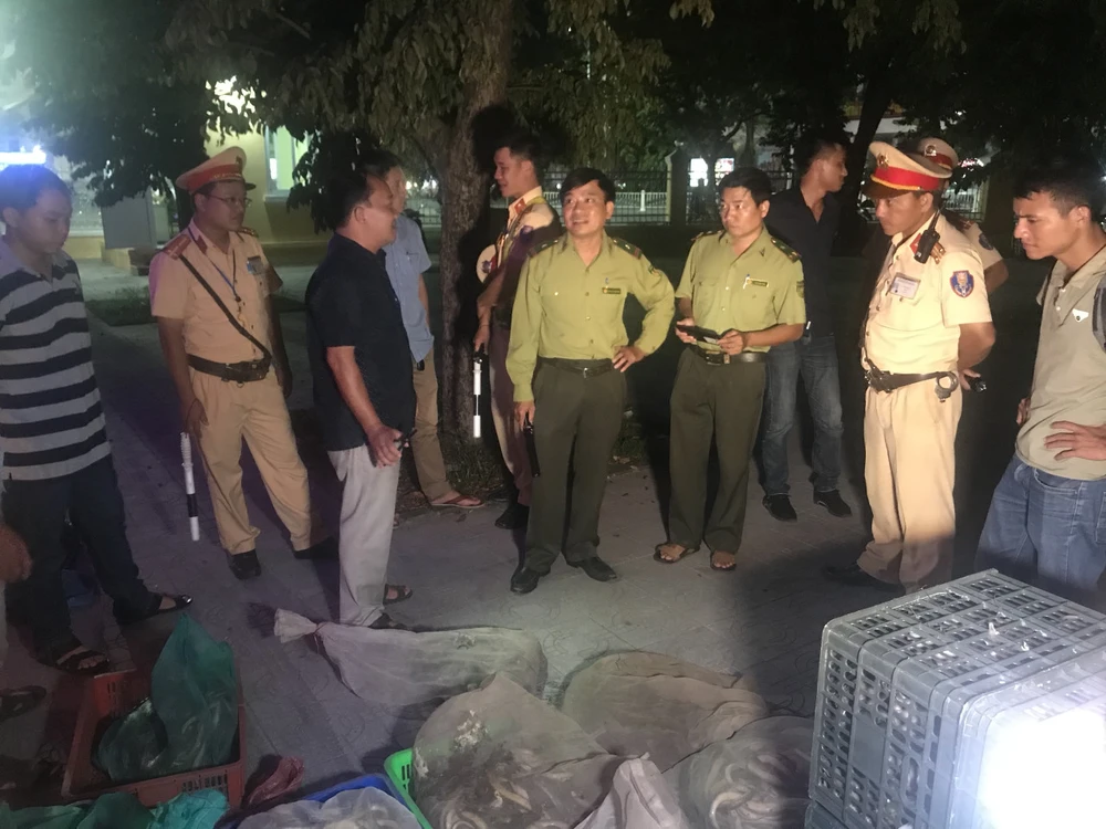 Phòng CSGT Công an tỉnh Thừa Thiên - Huế bắt giữ xe ô tô chở số lượng lớn cá thể rắn không rõ nguồn gốc 
