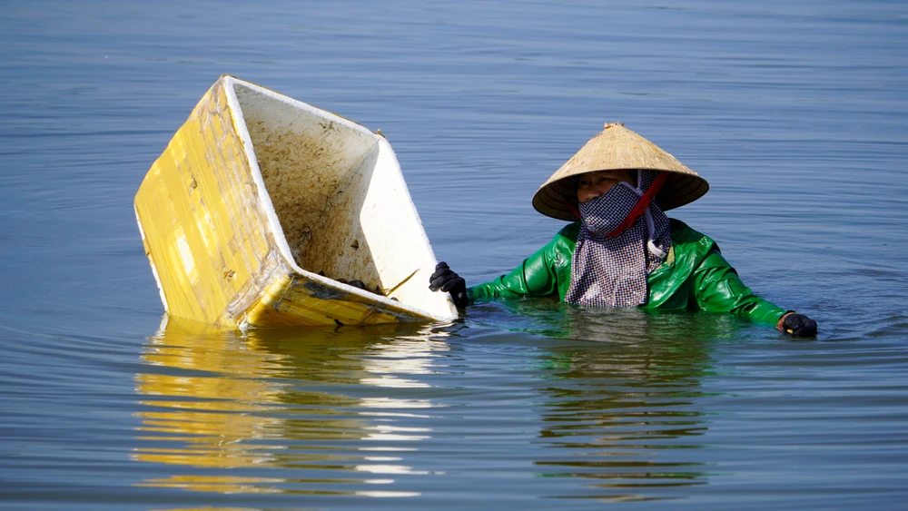 Ở phá Tam Giang nơi được ví là biển cạn, có loại hải sản được coi là "cần câu cơm" của bao ngư dân- Ảnh 14.