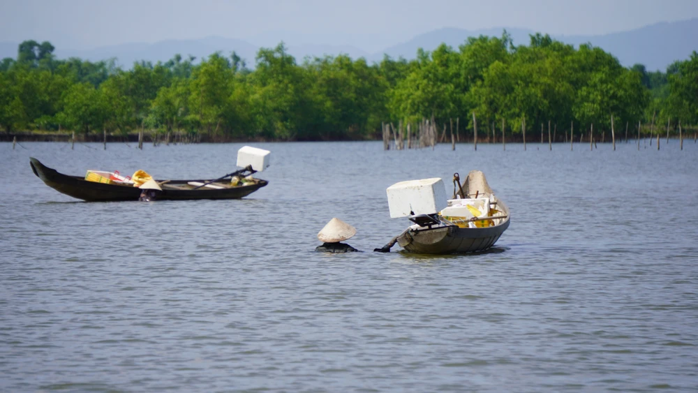 Ở phá Tam Giang nơi được ví là biển cạn, có loại hải sản được coi là "cần câu cơm" của bao ngư dân- Ảnh 2.