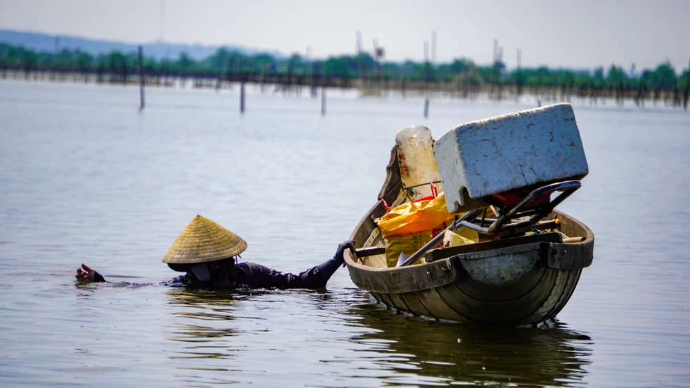 Ở phá Tam Giang nơi được ví là biển cạn, có loại hải sản được coi là "cần câu cơm" của bao ngư dân- Ảnh 8.