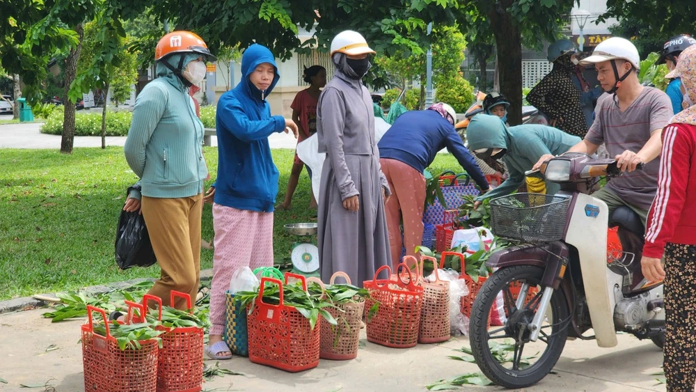 Lạ lùng Huế: Loại đặc sản nấm tràm căng tròn, béo núc ních càng đắng càng ngon, hễ mưa là mọc lên- Ảnh 7.