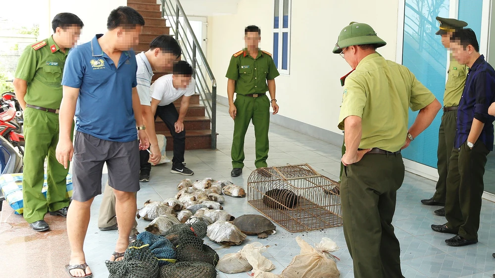 Số động vật hoang dã bị bắt giữ