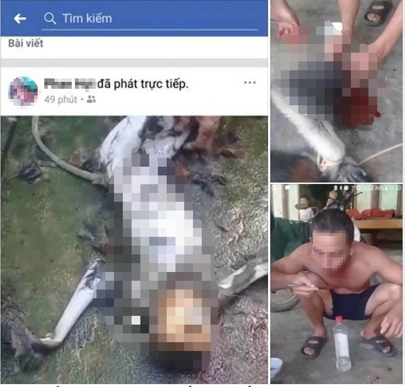 Hình ảnh giết cá thể voọc rồi đăng lên Facebook gây phẫn nộ