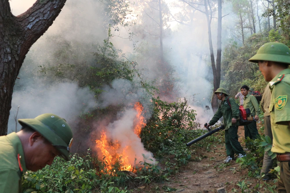 Lực lượng chức năng tham gia chữa cháy rừng ở huyện Nghi Xuân