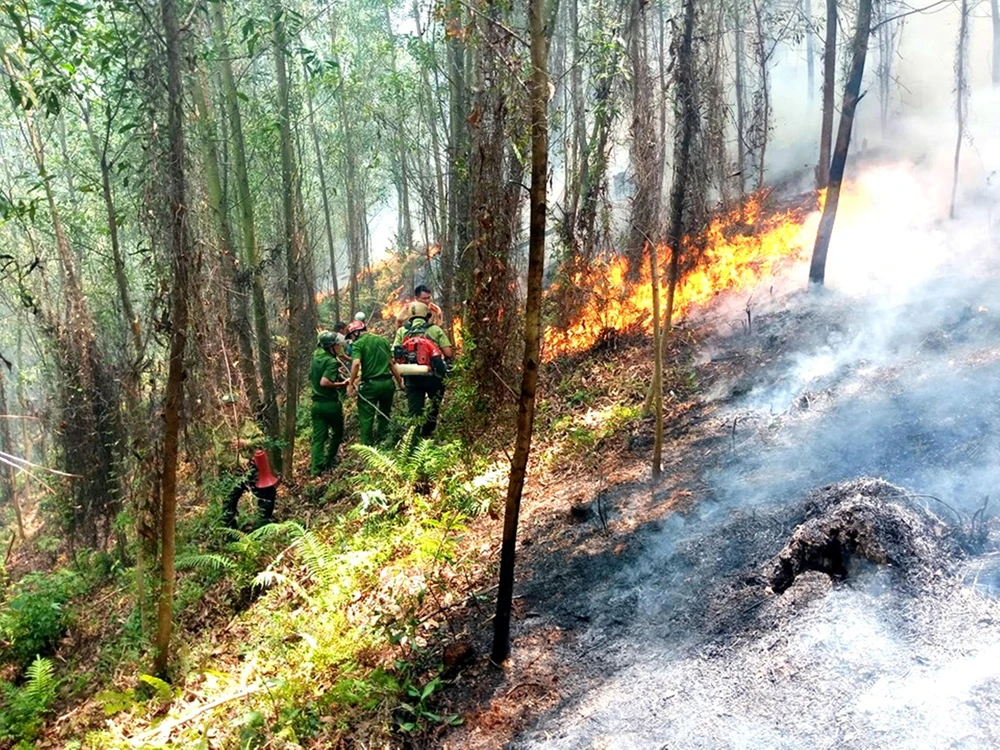 Lực lượng chức năng tham gia dập lửa trong vụ cháy rừng ở khu vực núi Nầm, giáp ranh giữa xã Sơn Châu và Sơn Thủy, huyện Hương Sơn, tỉnh Hà Tĩnh, ngày 8-7-2019