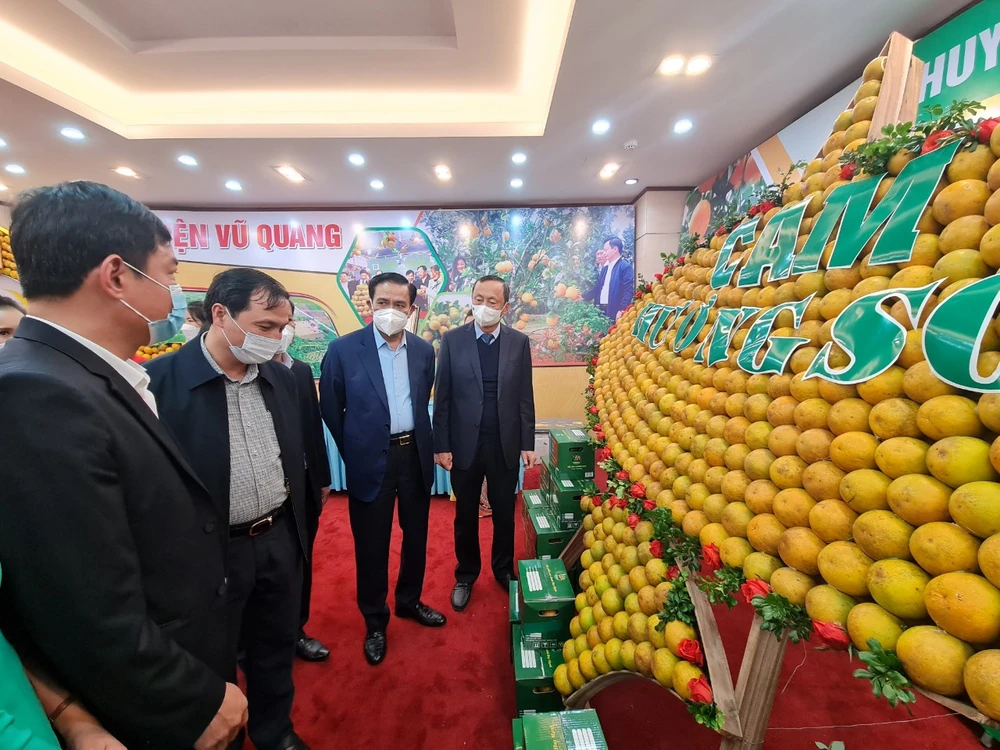 Lãnh đạo tỉnh Hà Tĩnh tham quan các gian hàng trưng bày cam tại hội nghị