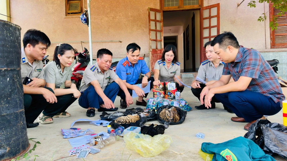 Cơ quan chức năng tiến hành các bước để xử lý tiêu hủy các cá thể hổ đã chết và các vật chứng khác 