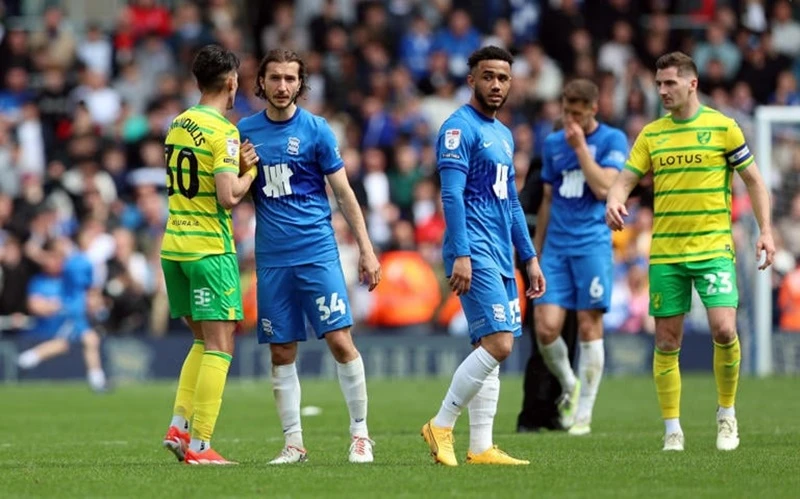 Dù giành thắng lợi trước Norwich nhưng Birmingham vẫn phải chịu cảnh xuống hạng.