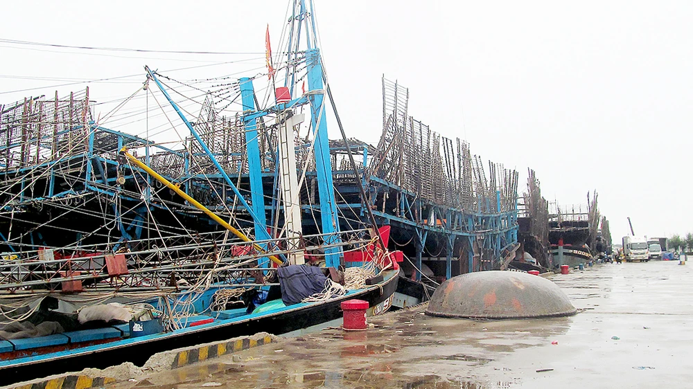 Nhiều ngư dân ở Quảng Nam đến nay vẫn chưa tiếp cận được nguồn vay theo Nghị định 67 Ảnh: HOÀNG TÂN