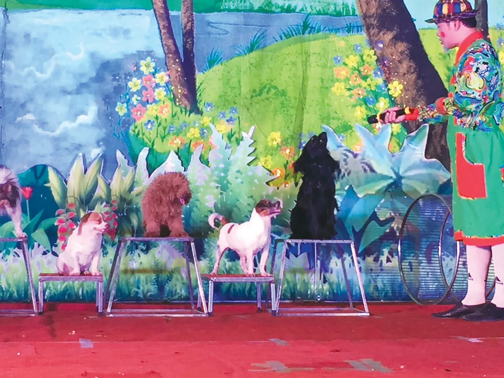 Nghệ sĩ Thế Liêm (Đoàn xiếc thú Lê Hồng Lộc, Hà Nội) với các màn điều khiển chó làm toán (ảnh nhỏ) và nhảy qua vòng 
