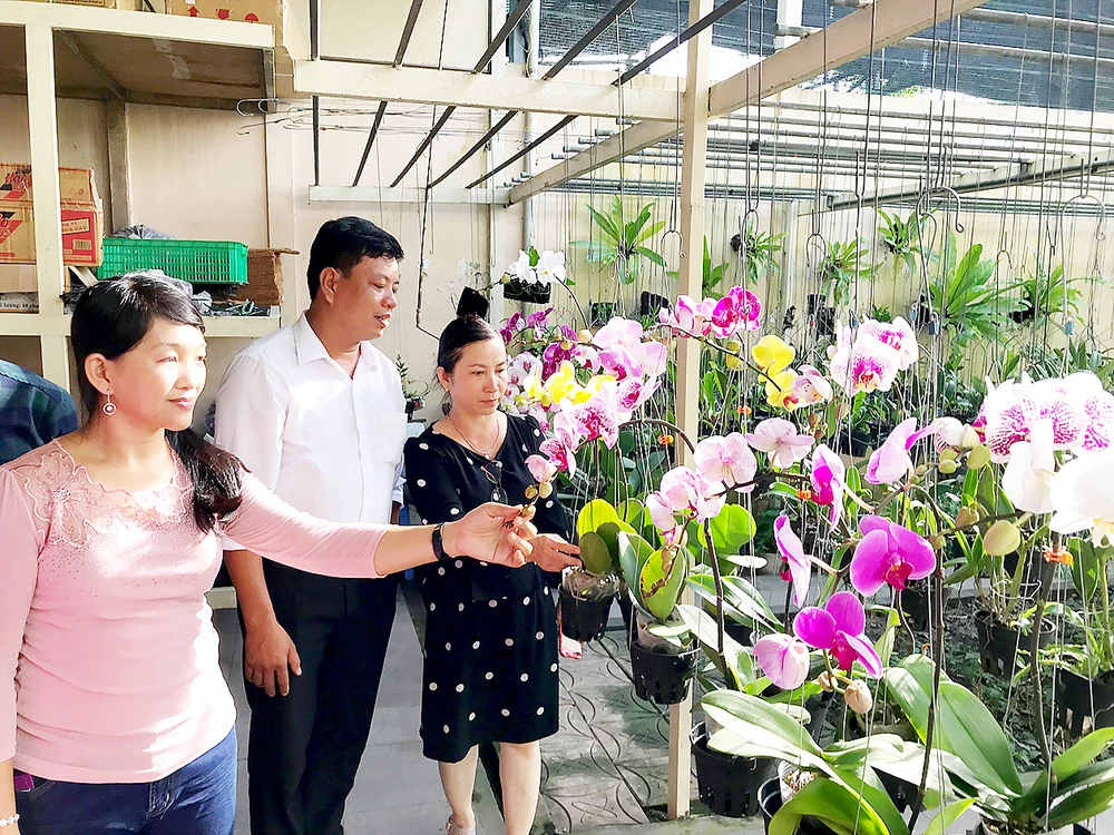 Đại diện HTX Hoa lan Huyền Thoại tham quan giới thiệu sản phẩm hoa lan cắt cành ở TP Cần Thơ