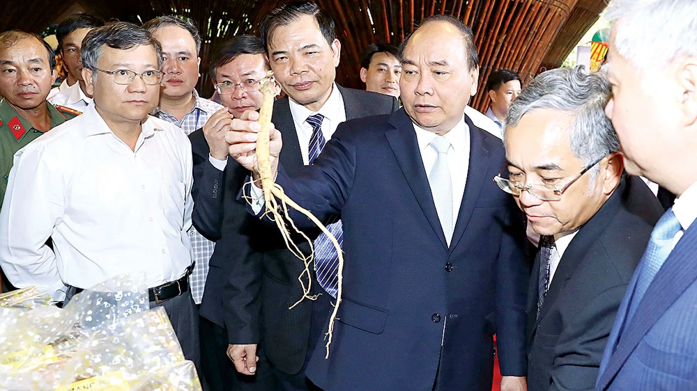 Thủ tướng Nguyễn Xuân Phúc xem các gian hàng trưng bày sản phẩm về sâm Ngọc Linh Kon Tum 
