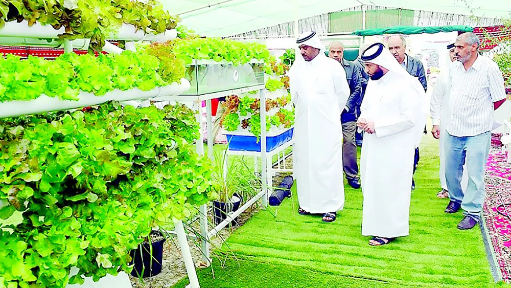 Một nông trại trồng rau theo công nghệ hiện đại tại Umm Salal, Qatar