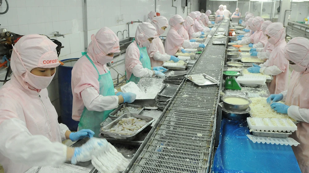 Chế biến tôm xuất khẩu sang Nhật tại Công ty Cofidec Ảnh: CAO THĂNG