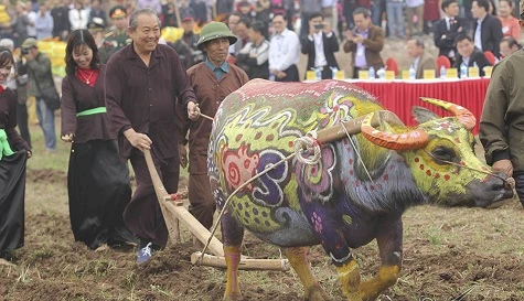 Phó Thủ tướng thực hiện nghi thức cày ruộng tại Lễ hội Tịch điền. Ảnh: VGP