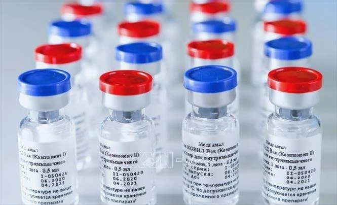 Vaccine ngừa COVID-19 của Nga. Ảnh: YONHAP/TTXVN
