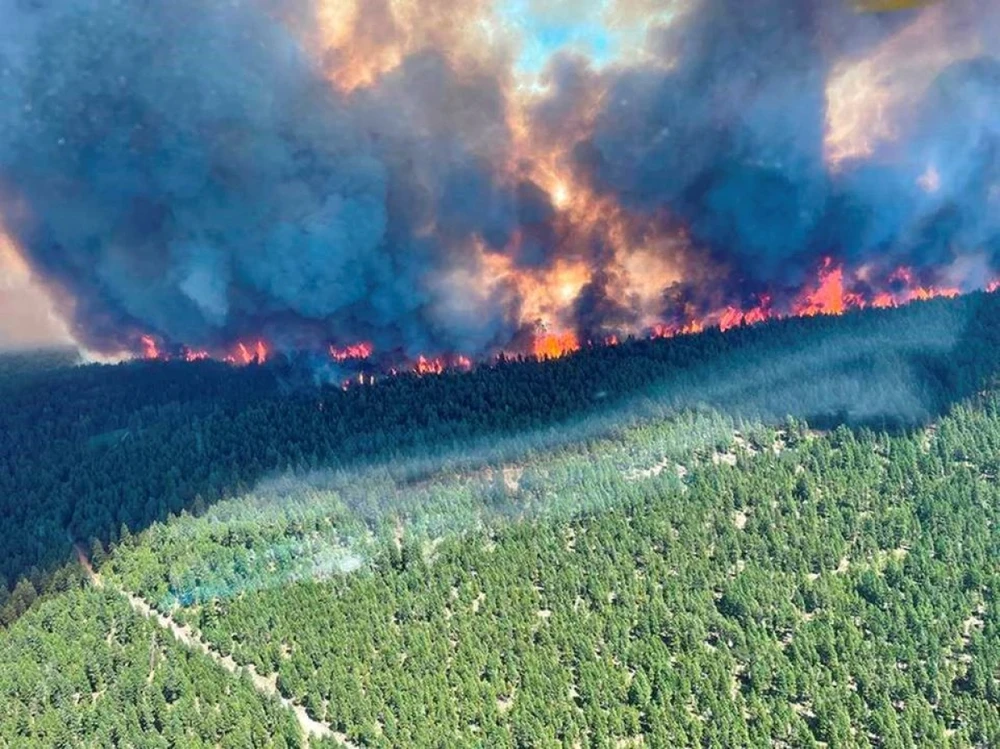 Cháy rừng ở British Columbia, Colombia ngày 29-6-2021. Ảnh: REUTERS