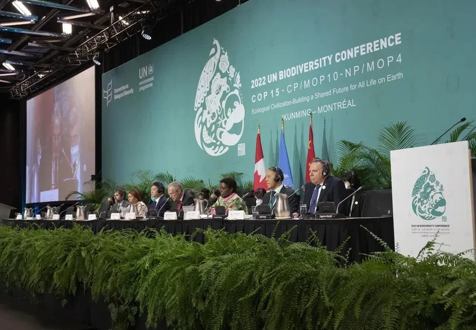 Đại diện các quốc gia tại Hội nghị Đa dạng sinh học Liên Hợp Quốc (COP 15) đã đạt được một thỏa thuận lịch sử về bảo vệ đa dạng sinh học trên trái đất. Ảnh: AP. 