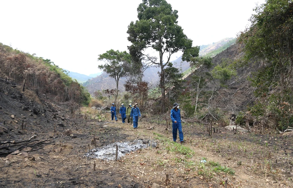 Lực lượng quản lý bảo vệ rừng Công ty Lâm nghiệp Tân Mai, huyện Lắk (Đắk Lắk) tuần tra các khu vực nương rẫy của người dân giáp ranh với rừng 