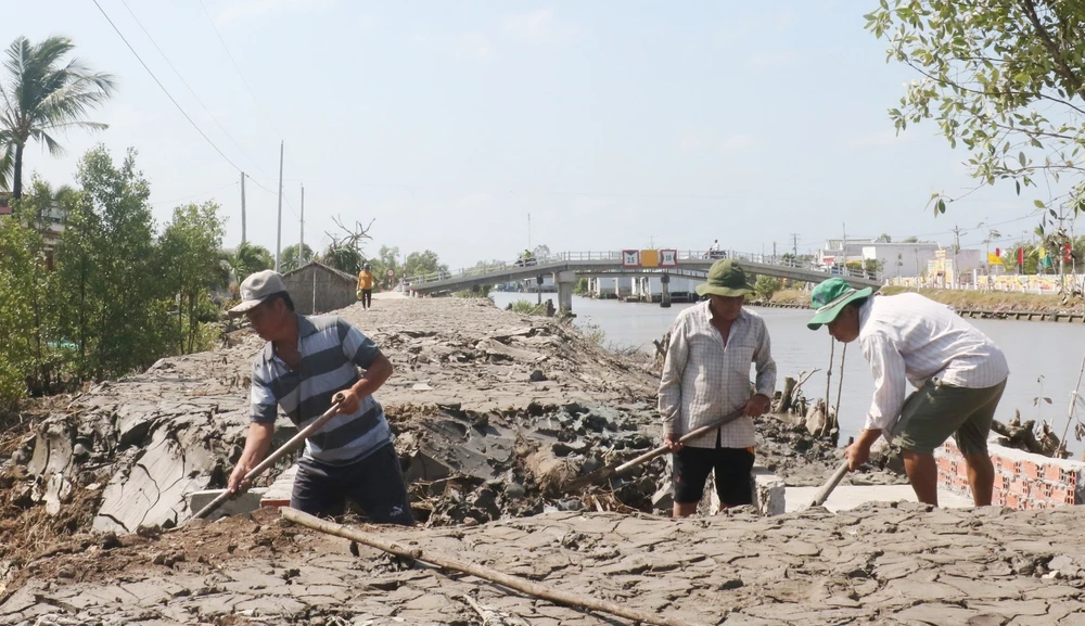  Người dân trên địa bàn xã Tân Duyệt (huyện Đầm Dơi, tỉnh Cà Mau) hiến đất, chuẩn bị mặt bằng để làm đường bê tông