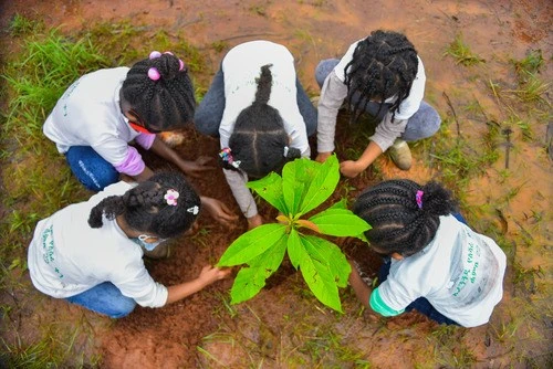Học sinh Ethiopia tham gia trồng cây. Nguồn: XINHUA 