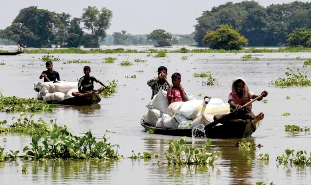 Nông dân tại bang Assam, Ấn Độ di dời lúa để tránh lũ