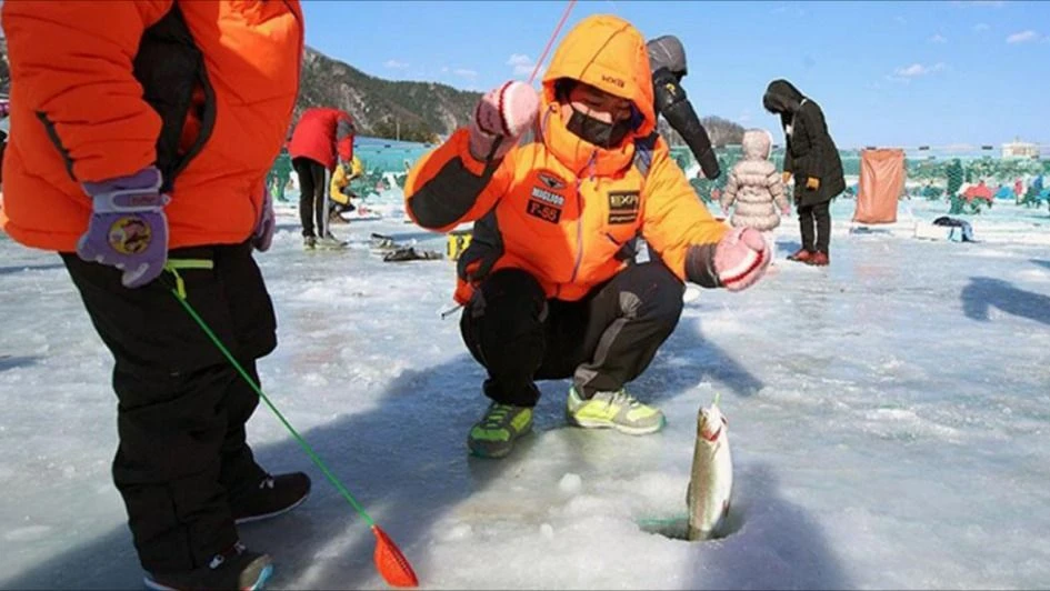 Lễ hội câu cá trên băng tại Hàn Quốc