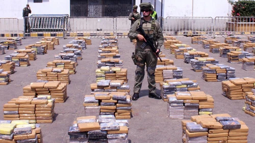 Lực lượng đặc nhiệm Colombia tham gia chiến dịch chống ma túy. Ảnh: REUTERS