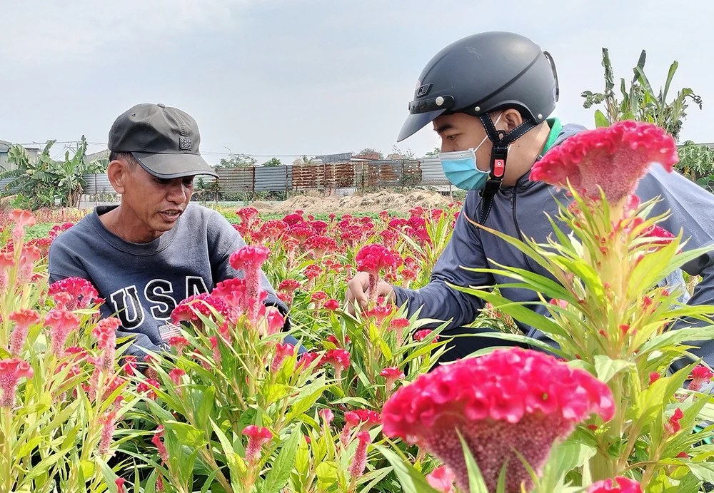Người dân làng hoa Tân Ba giới thiệu các loại hoa cho khách hàng. Ảnh: HOÀNG BẮC