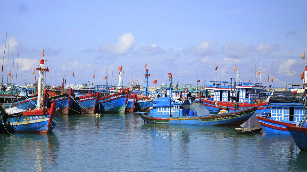 Tàu thuyền tránh bão tại đảo Lý Sơn, Quảng Ngãi