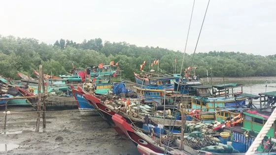 Tàu thuyền đã vào âu tránh bão Tembin tại huyện Cần Giờ, TPHCM ngày 25-12-2017