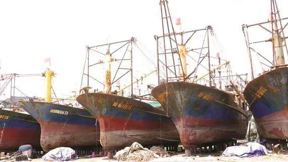 Bình Định yêu cầu sớm xử lý dứt điểm vụ 19 tàu vỏ thép hư hỏng