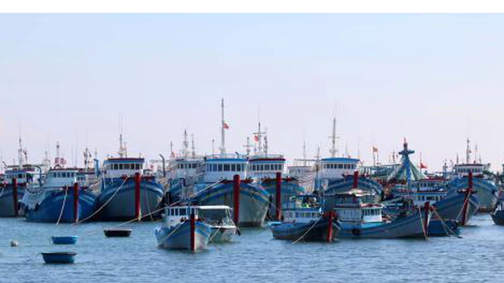 Bình Thuận chi gần 27 tỷ đồng hỗ trợ tàu cá hoạt động xa bờ
