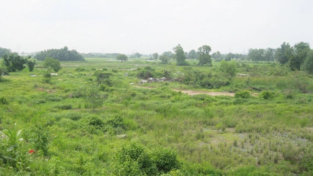 Hàng ngàn hécta đất tại huyện Củ Chi chưa được sử dụng hiệu quả trong nhiều năm qua