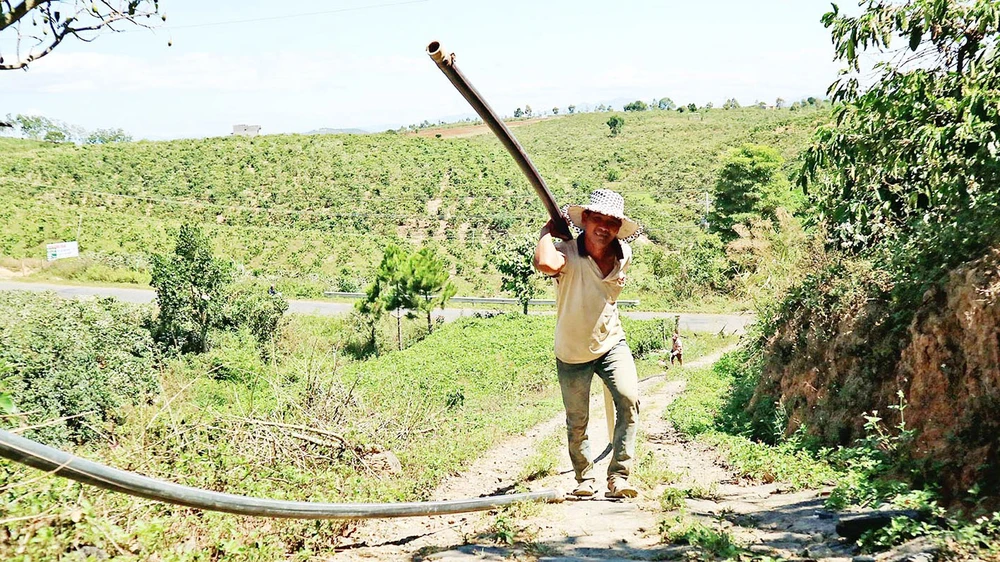 Người dân thôn Phú Ao, xã Tà Hine, huyện Đức Trọng (tỉnh Lâm Đồng) kéo ống lên đồi cao đưa nước về tưới cà phê. Ảnh: ĐOÀN KIÊN