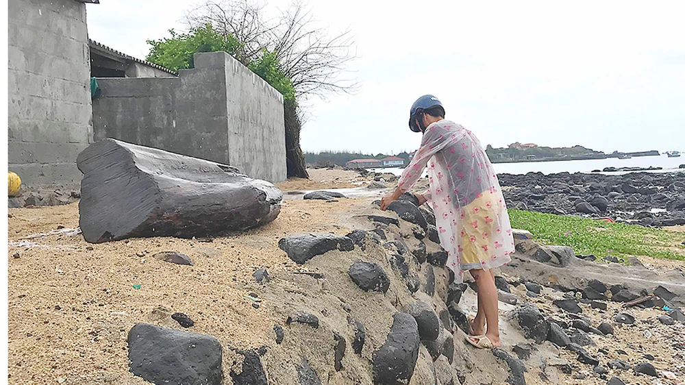 Gần 100 hộ dân huyện đảo Phú Quý nguy cơ bị biển xâm thực