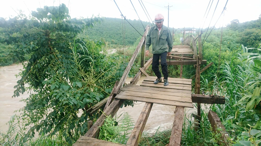 Người dân bất chấp nguy hiểm đi qua cầu gỗ xuống cấp nặng tại xã Lộc Ngãi, huyện Bảo Lâm, tỉnh Lâm Đồng. Ảnh: ĐOÀN KIÊN