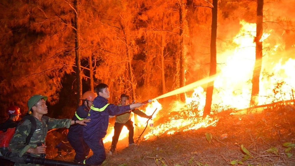 Lực lượng chức năng khống chế vụ cháy rừng ở Hà Tĩnh. Ảnh: DƯƠNG QUANG