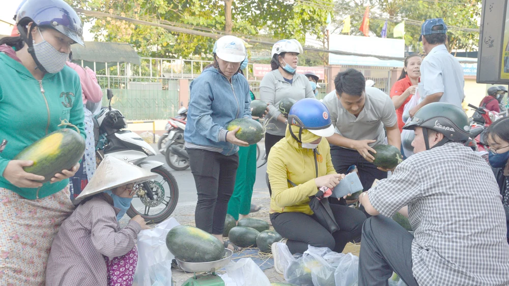 Người dân quận 9 mua dưa hấu ủng hộ nông dân Gia Lai