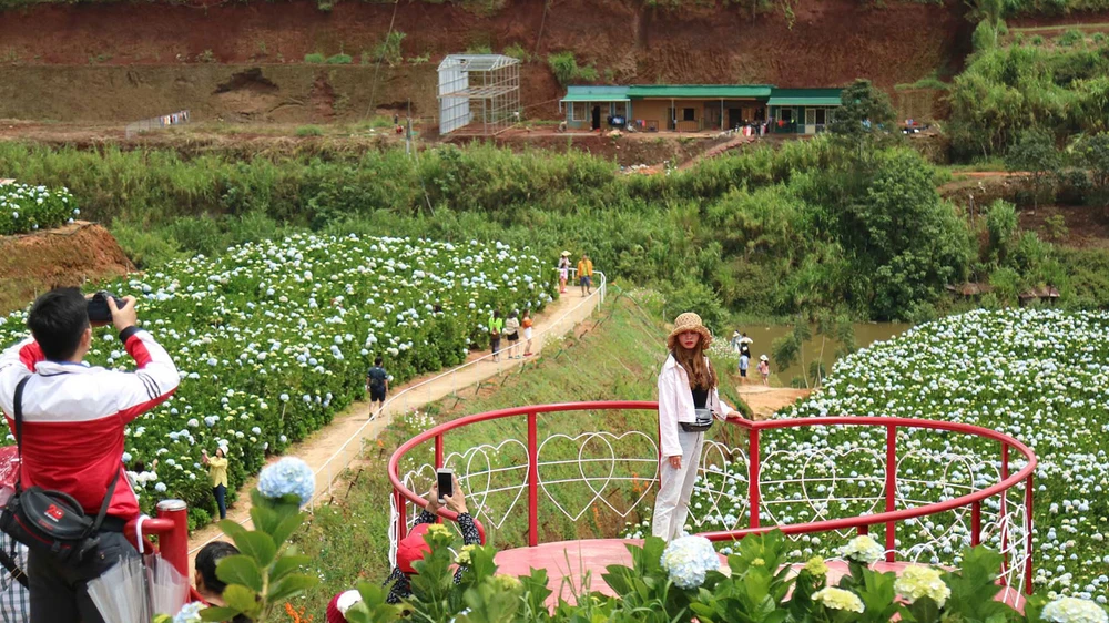 Nhiều người dân tại Đà Lạt tiến hành làm “mới” đất nông nghiệp