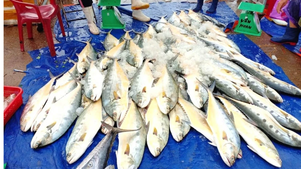 Mẻ cá bè gai đượcbán tại cảng cá Cửa Sót