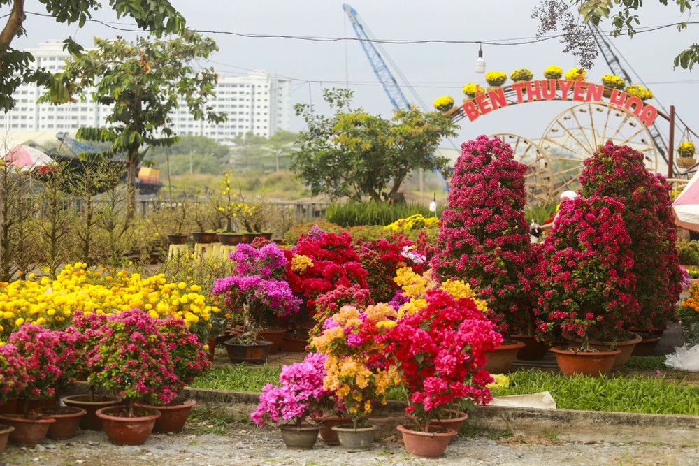 Chợ hoa xuân Bình Điền 2023 tiếp tục miễn phí tiền thuê mặt bằng