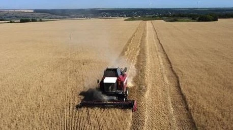 Nông dân thu hoạch lúa mì gần Kramatosk, Ukraine ngày 7-7-2022
