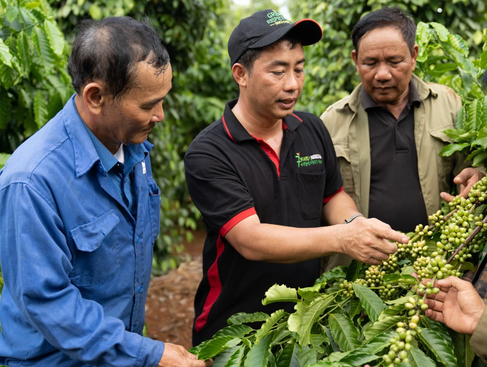 Dự án canh tác cà phê bền vững của Nestlé Việt Nam ở khu vực Tây Nguyên