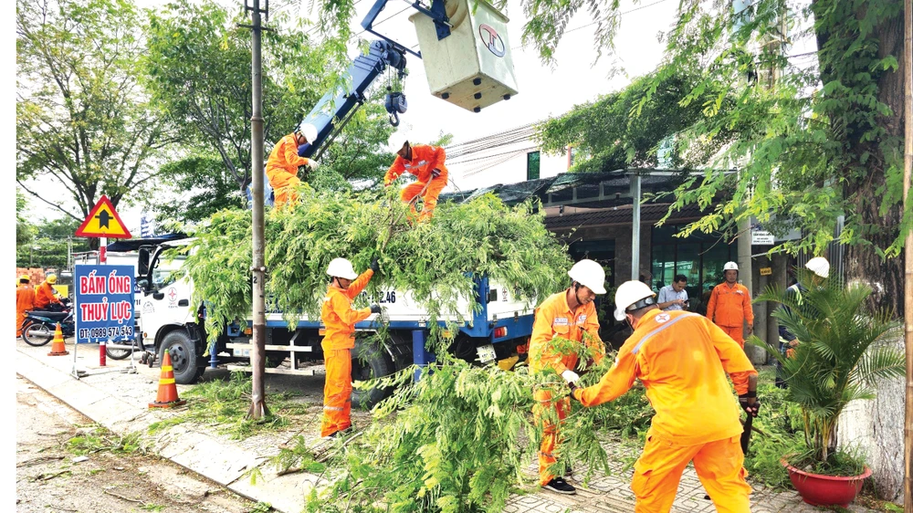 Điện lực Bến Tre phát quang cây xây để ngăn ngừa sự cố lưới điện co mưa bão