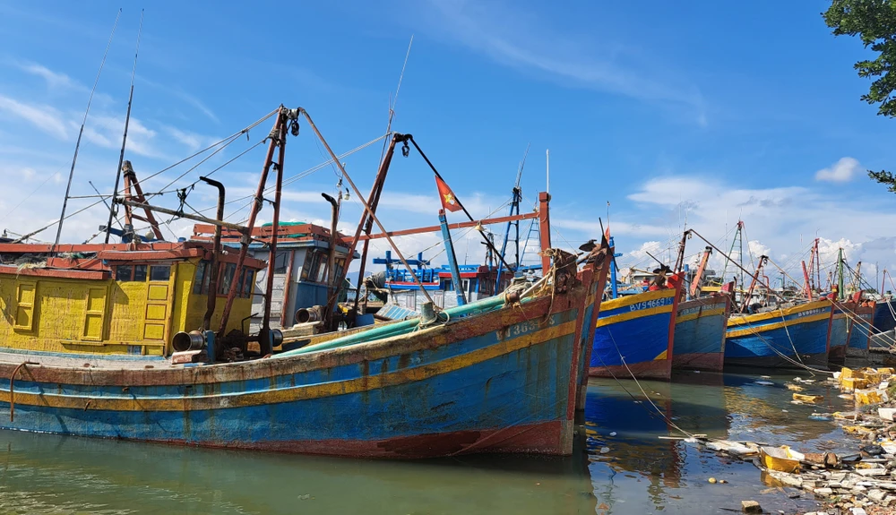 Nhiều tàu cá của ngư dân Bà Rịa - Vũng Tàu nằm bờ vì đánh bắt thua lỗ
