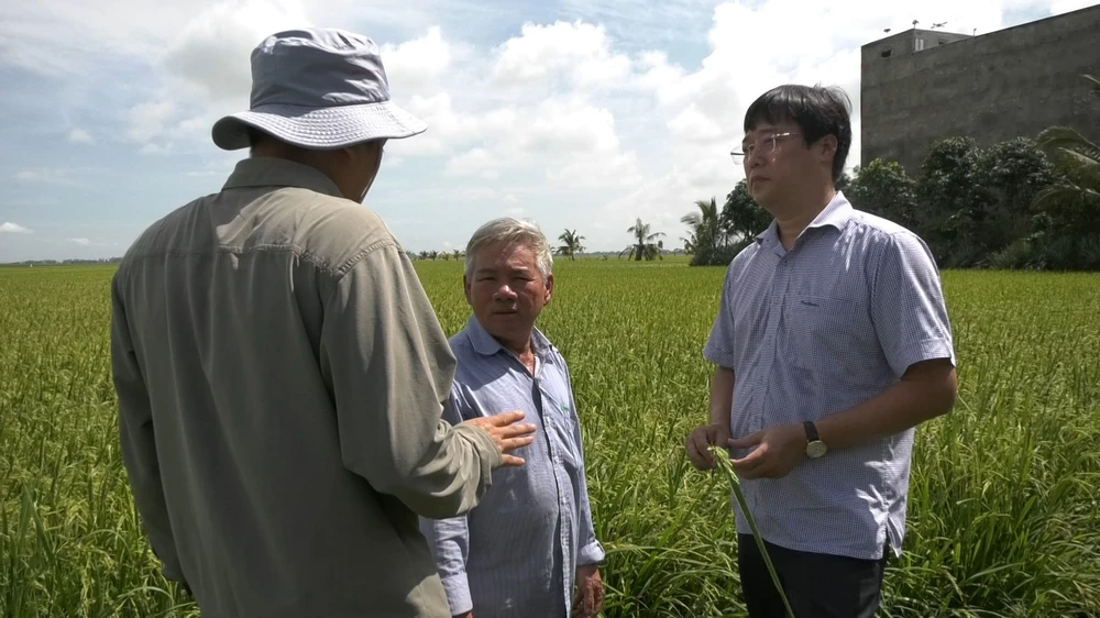 Bí thư Tỉnh ủy Đồng Tháp Lê Quốc Phong trao đổi với người dân trồng lúa hữu cơ trong vùng dự án bảo tồn sếu đầu đỏ