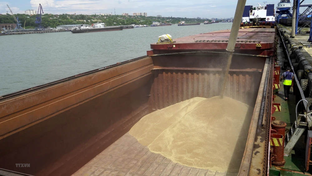 Chuyển lúa mỳ lên tàu tại cảng quốc tế Rostov-on-Don, Nga