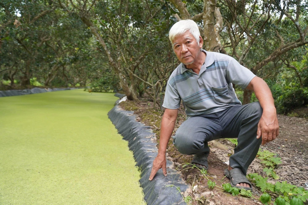 Nông dân tỉnh Bến Tre tích nước ngọt trong vườn để phục vụ sản xuất nông nghiệp trong mùa khô năm 2024. Ảnh: TÍN HUY