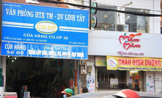 HTX Thương mại dịch vụ Linh Tây (quận Thủ Đức) dù lỗ nhưng vẫn góp vốn hơn 952 tỷ đồng. 